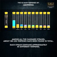 CALI Terpenes - Terpene 5ml Sativa Amnesia