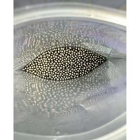 1Tip - Nanomineralkristalle 150 g