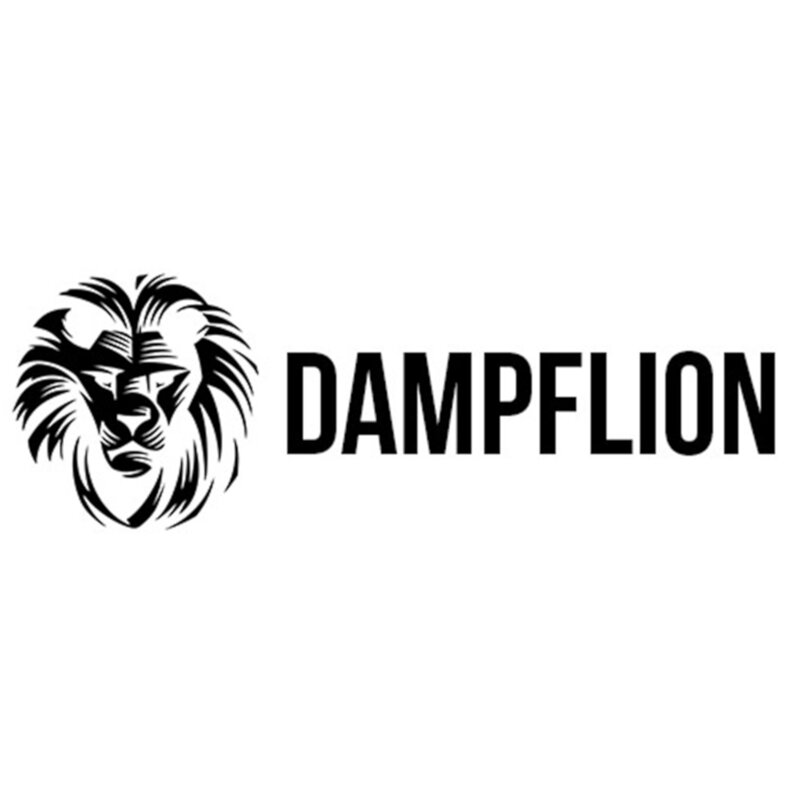 Dampflion Logo