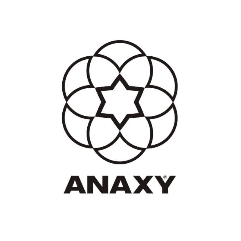 Anaxy Logo