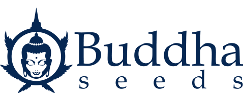 Buddha Seeds Logo