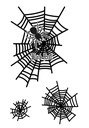 13998-3.jpg