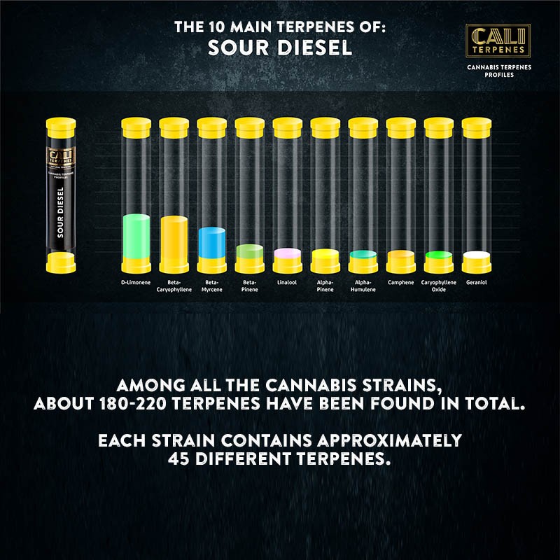 CALI Terpenes Terpene – 10 ml (Sour Diesel, Hybrid) – Ansicht 2