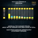 13798-2.jpg