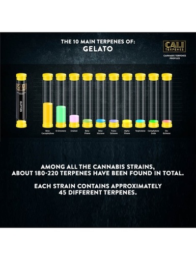 CALI Terpenes Terpene – 10 ml - weitere Ansicht