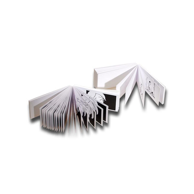 Black Leaf Filtertips Hot Flip Book – 40 Stück – Ansicht 2