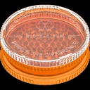 2909-9.jpg