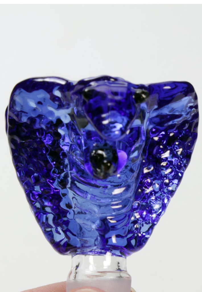 2977-5.jpg