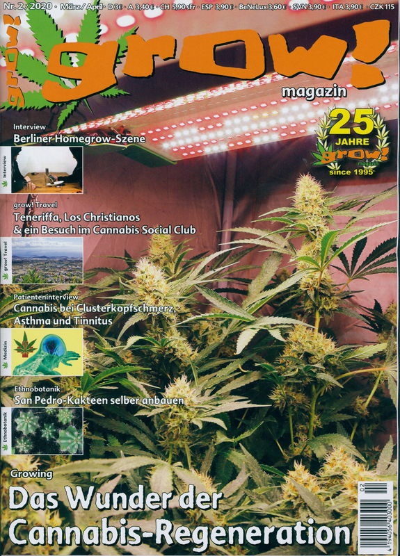 grow! - Magazin Ausgabe