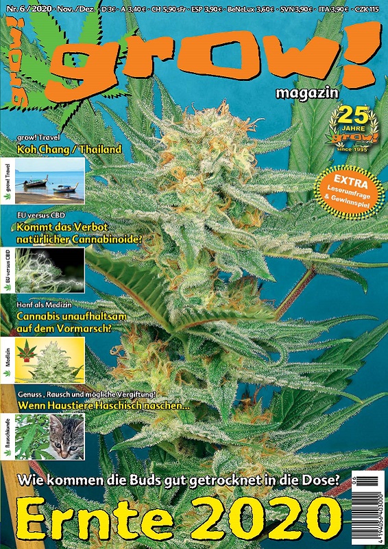 grow! - Magazin Ausgabe