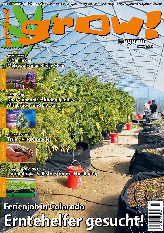 grow! - Magazin Ausgabe