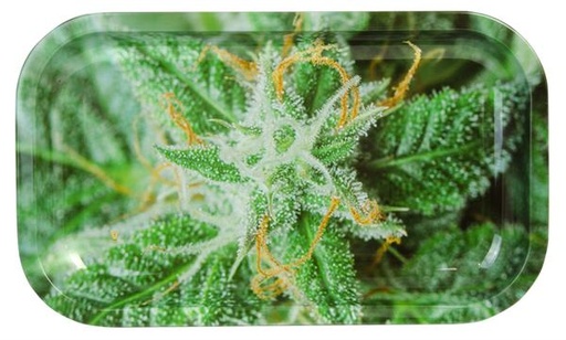 V-Syndicate Rolling Tray Buds AK-47 Small
